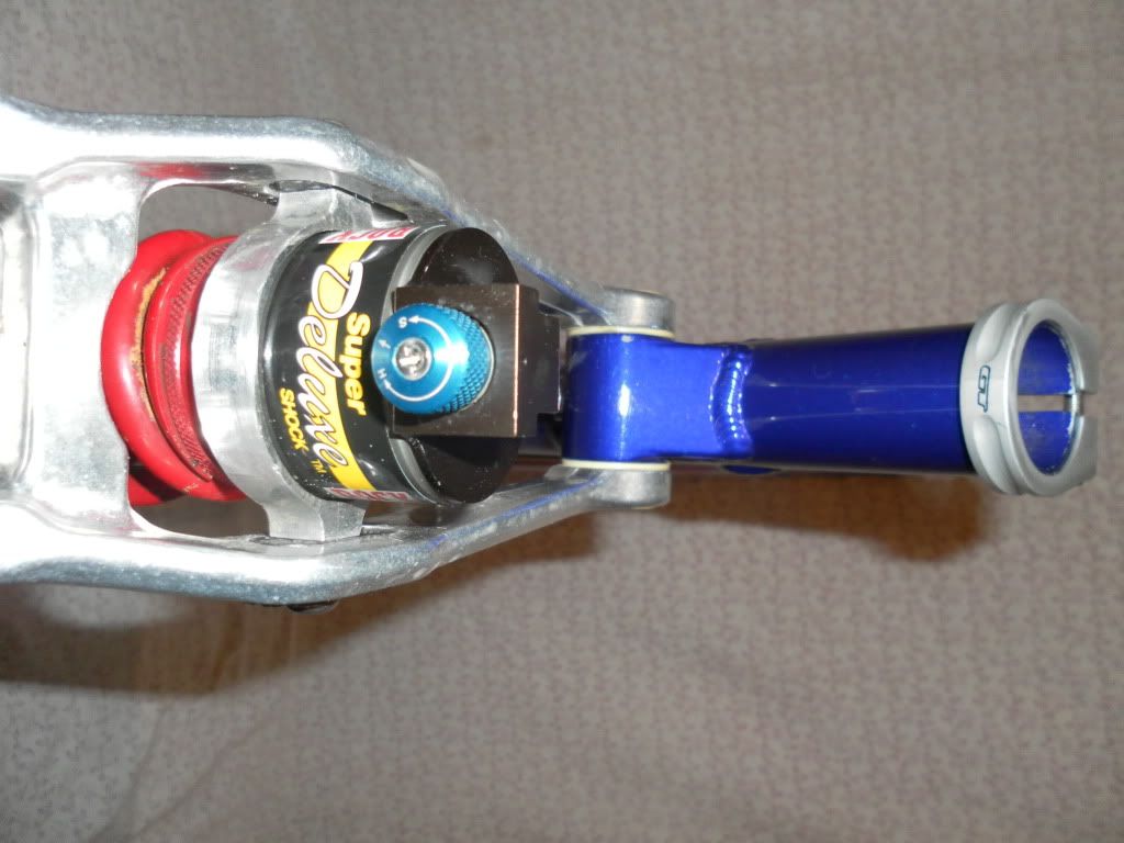 SAM_0364.jpg