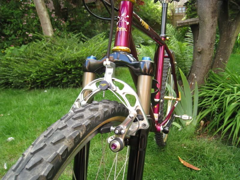 YoZ2s009.jpg
