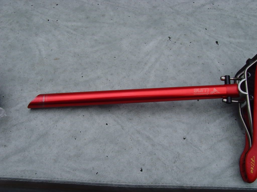 SNV35565.jpg