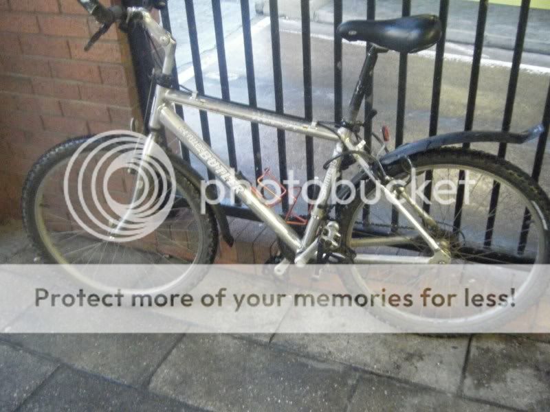 DSCF1780.jpg