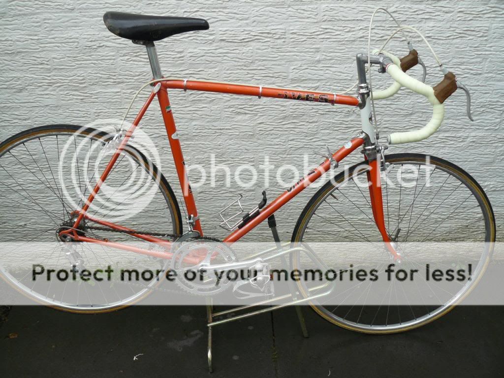 P1040938_zpsb115ffbd.jpg