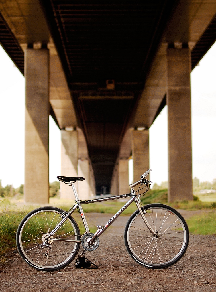 bridge.JPG