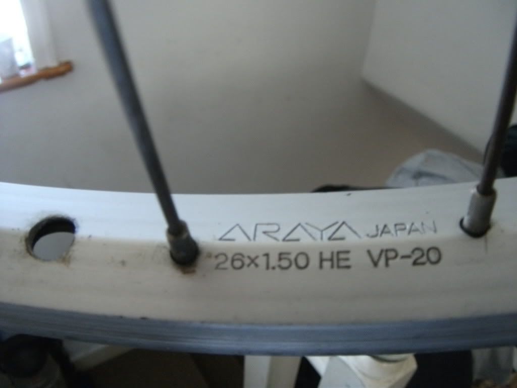 DSCF0548.jpg
