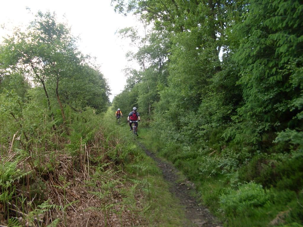 SDC10383_zps09cf3f3c.jpg