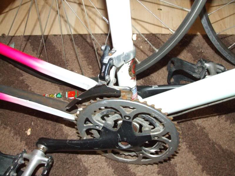 DSCF1517.jpg
