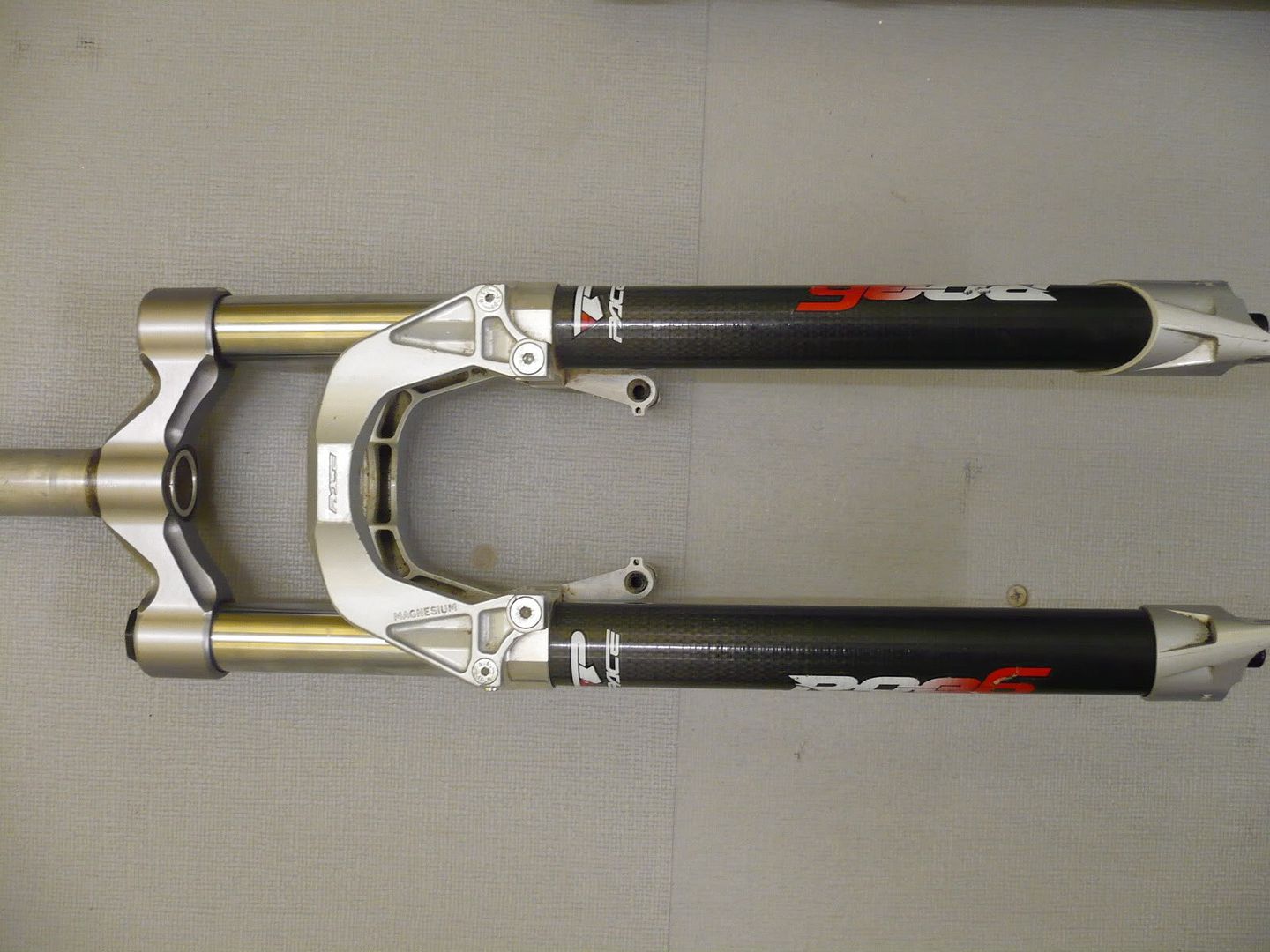 P1010330.jpg