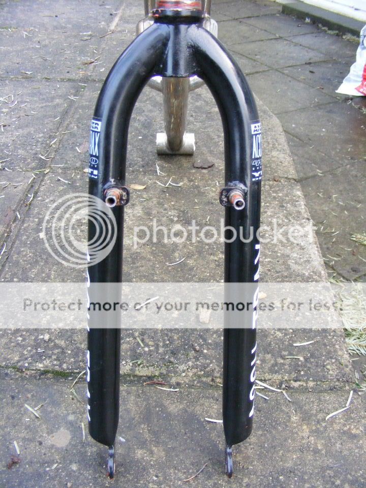 2010_0118saver0018.jpg