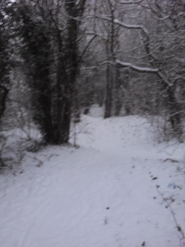 trailsinsnow2010007.jpg