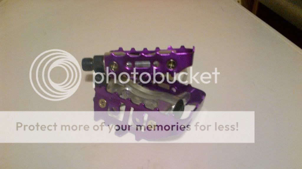 IMG_00000056.jpg
