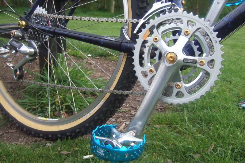 bikefox2009003.jpg