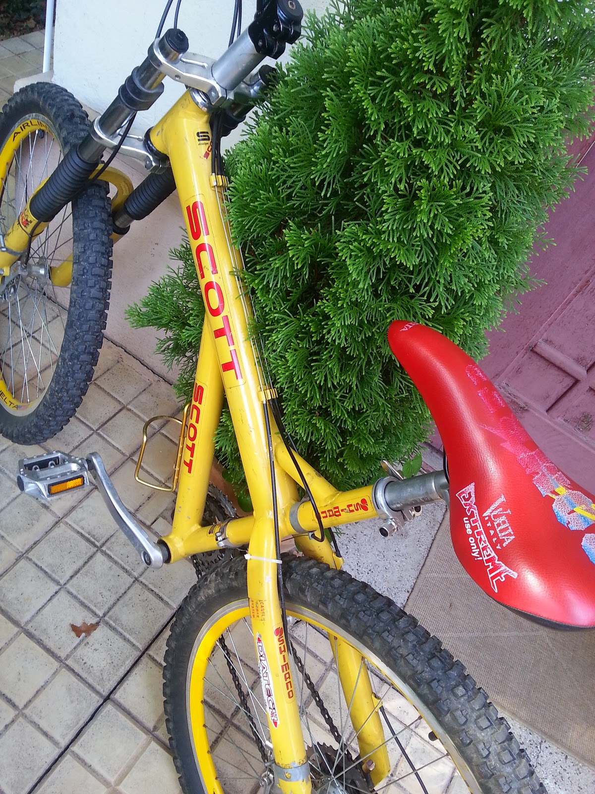 20120930_153706.jpg