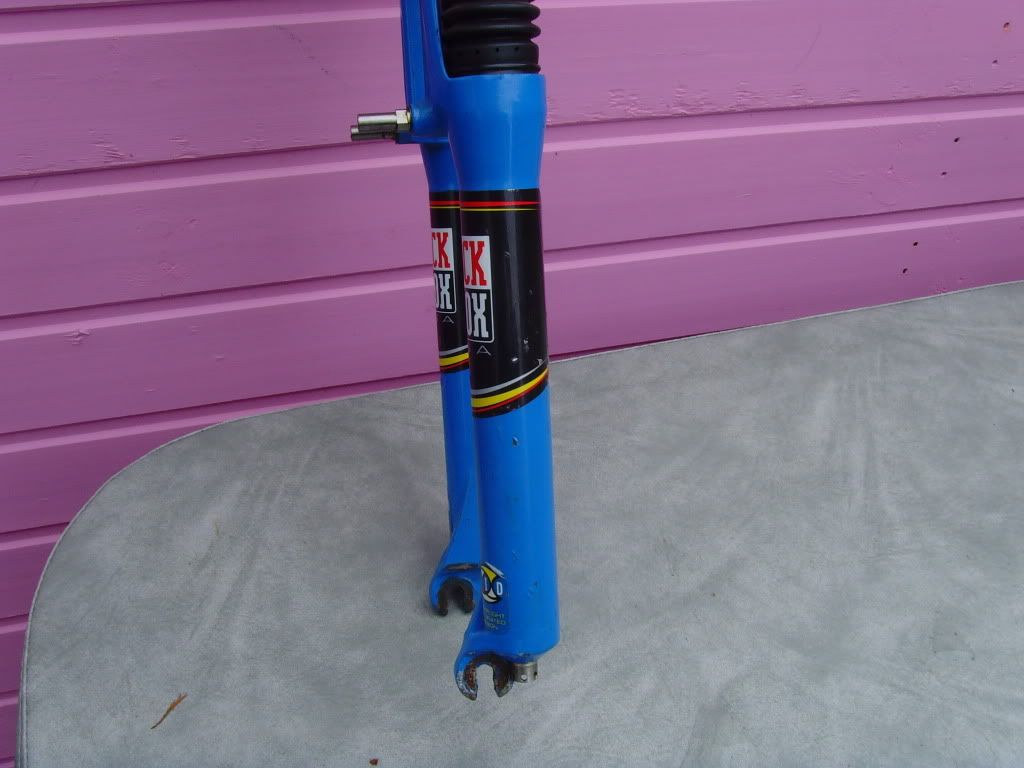 SNV36610.jpg