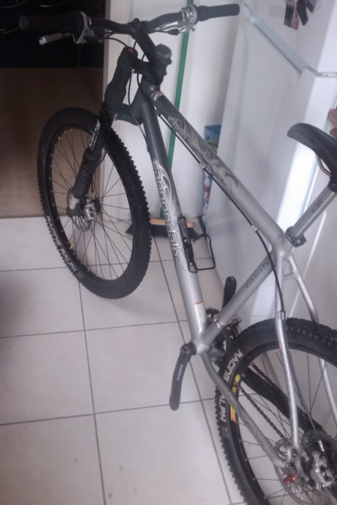 IMAG0253.jpg