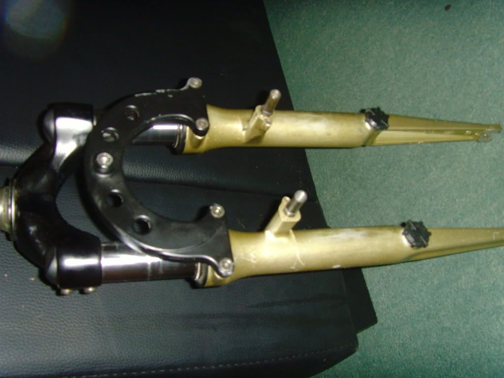 SNV33909.jpg
