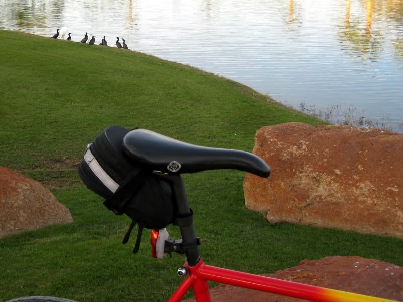 FisherGG27r.jpg