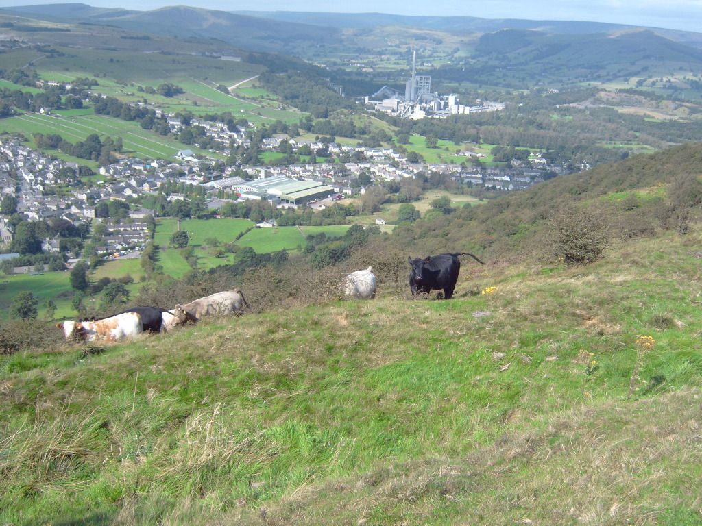 IMG00533.jpg