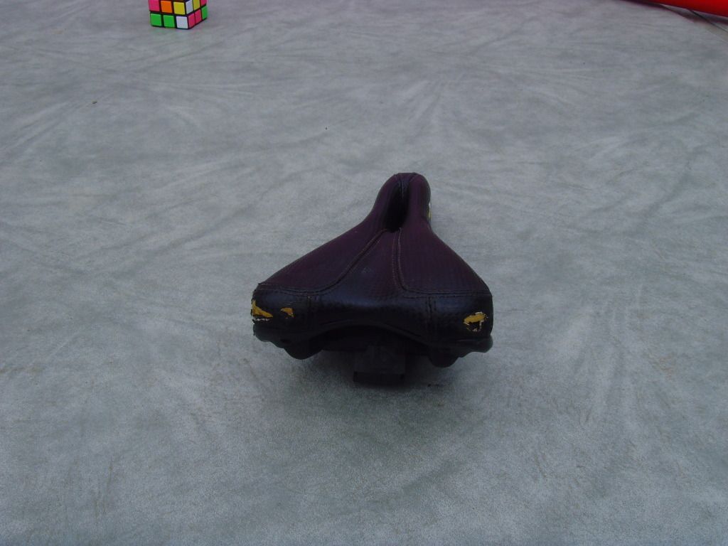 SNV36732.jpg