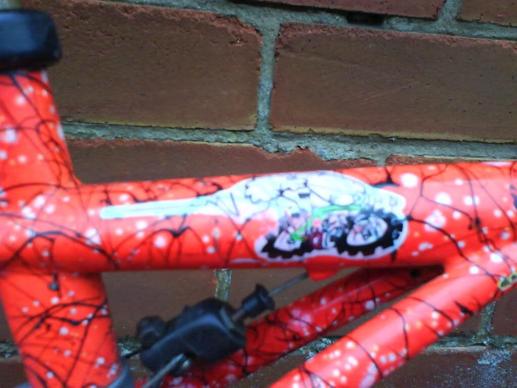 DSC00052.jpg