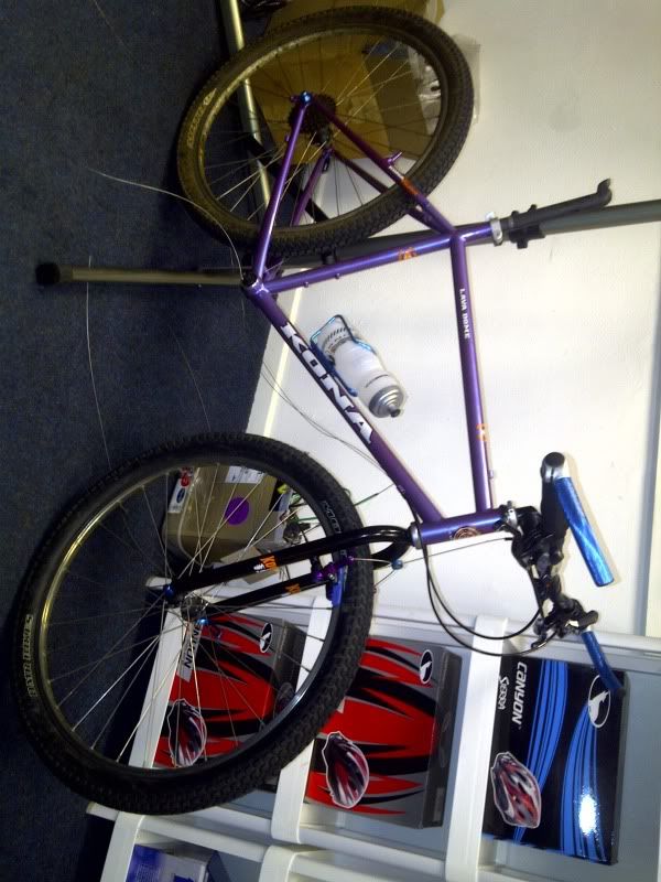 IMG-20101220-00296.jpg