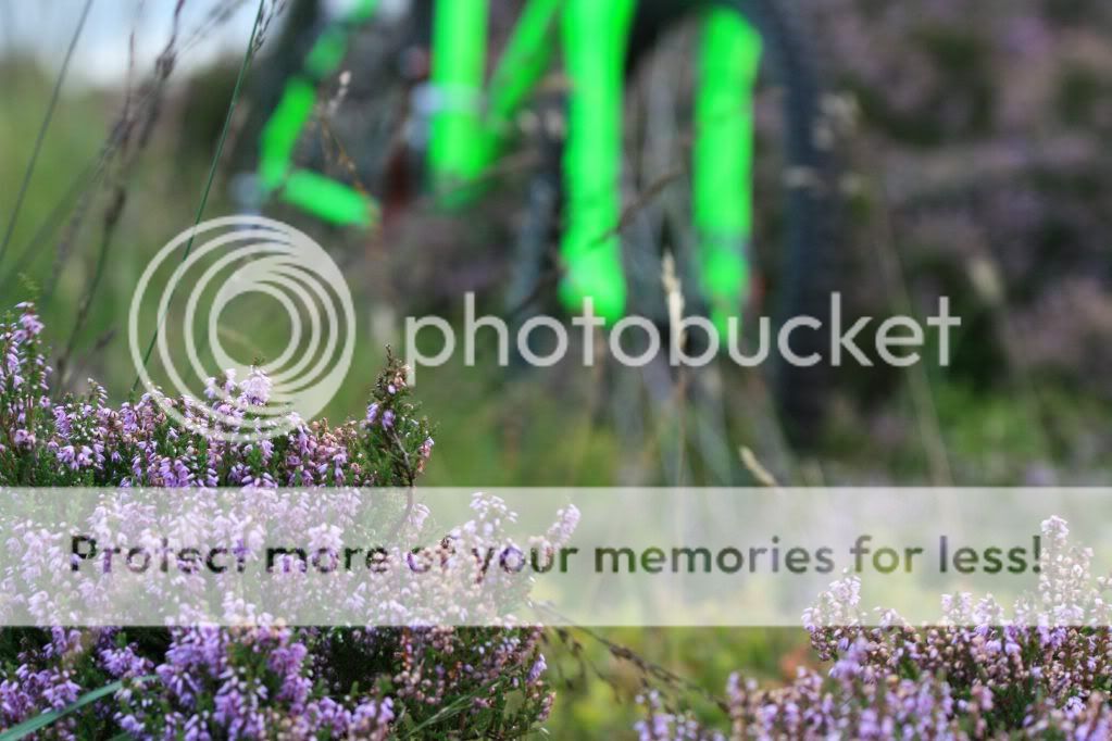 weekendpics069-1.jpg