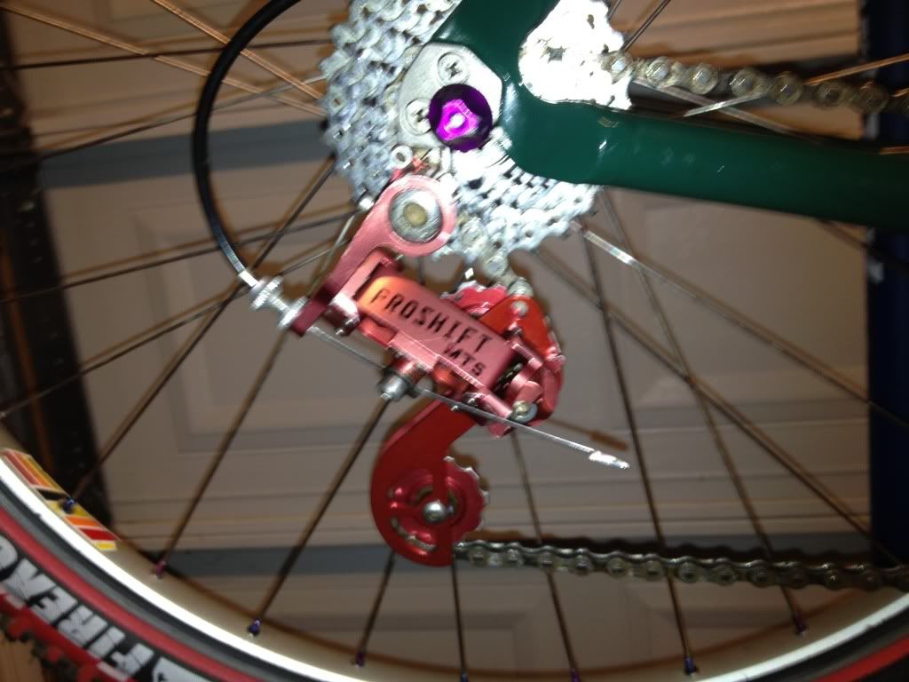 photo9.jpg