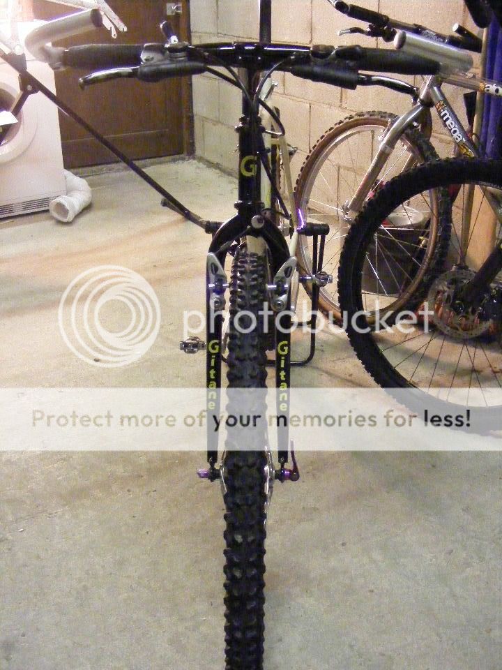 2011_0110gitane0009.jpg