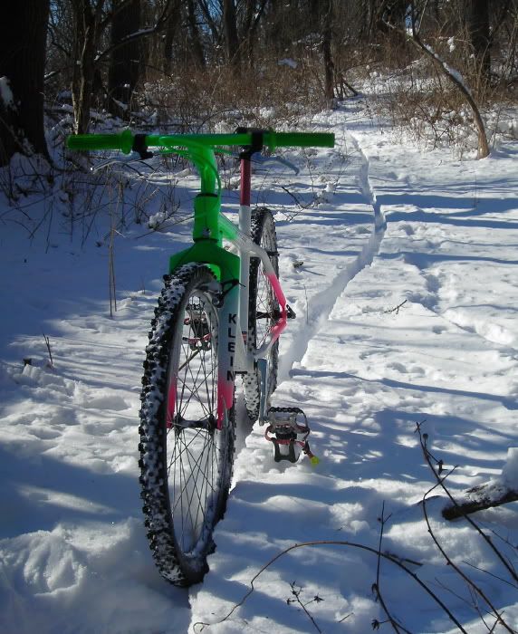 kleininthesnow2.jpg