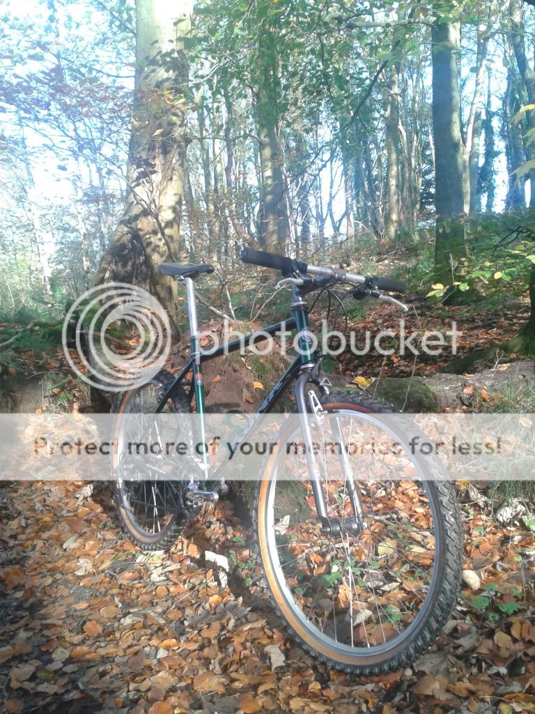 2011-11-06120421.jpg