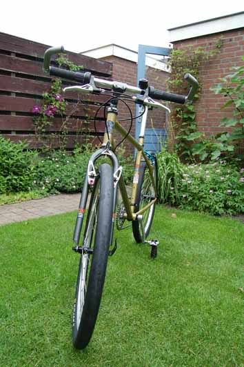 1996CinderCone558.jpg