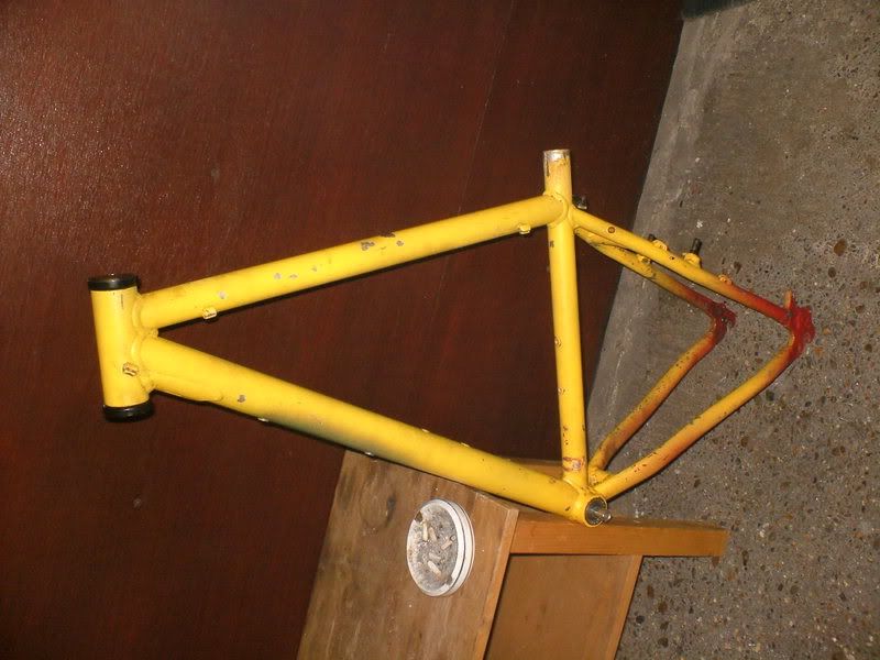 DSCF3596.jpg
