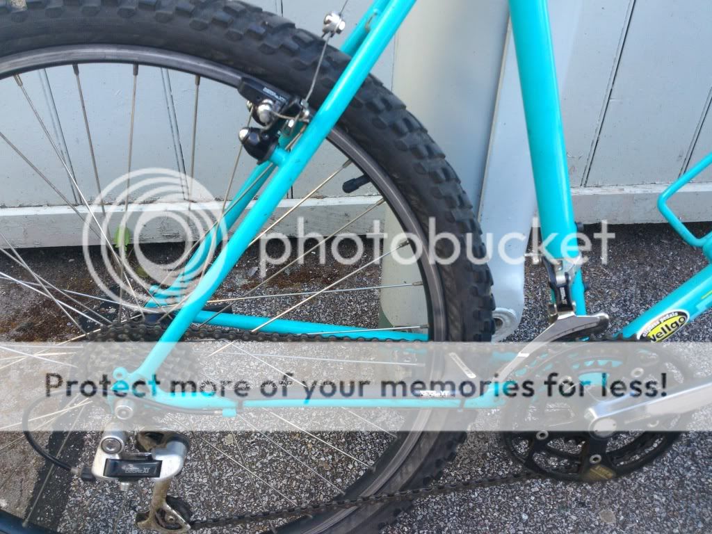 DSC_3134_zps931fc26c.jpg
