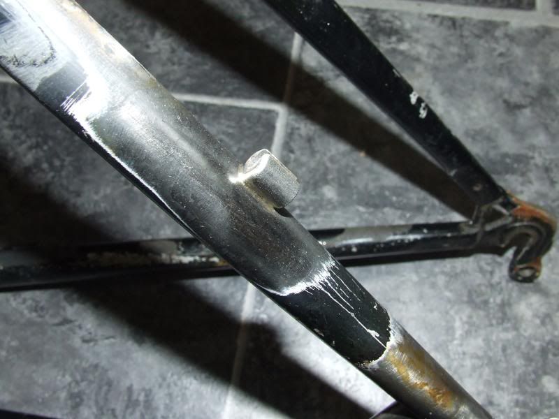 DSCF2278.jpg