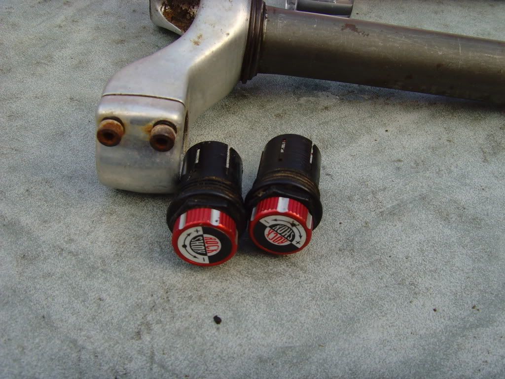 SNV36140.jpg