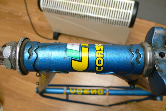 cxcorsa3.jpg