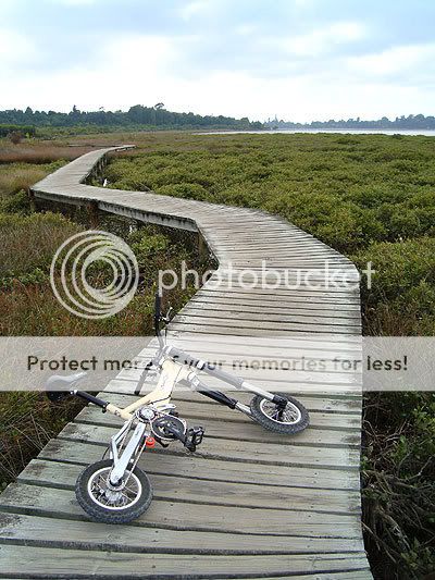 PocketDH-Boardwalk.jpg