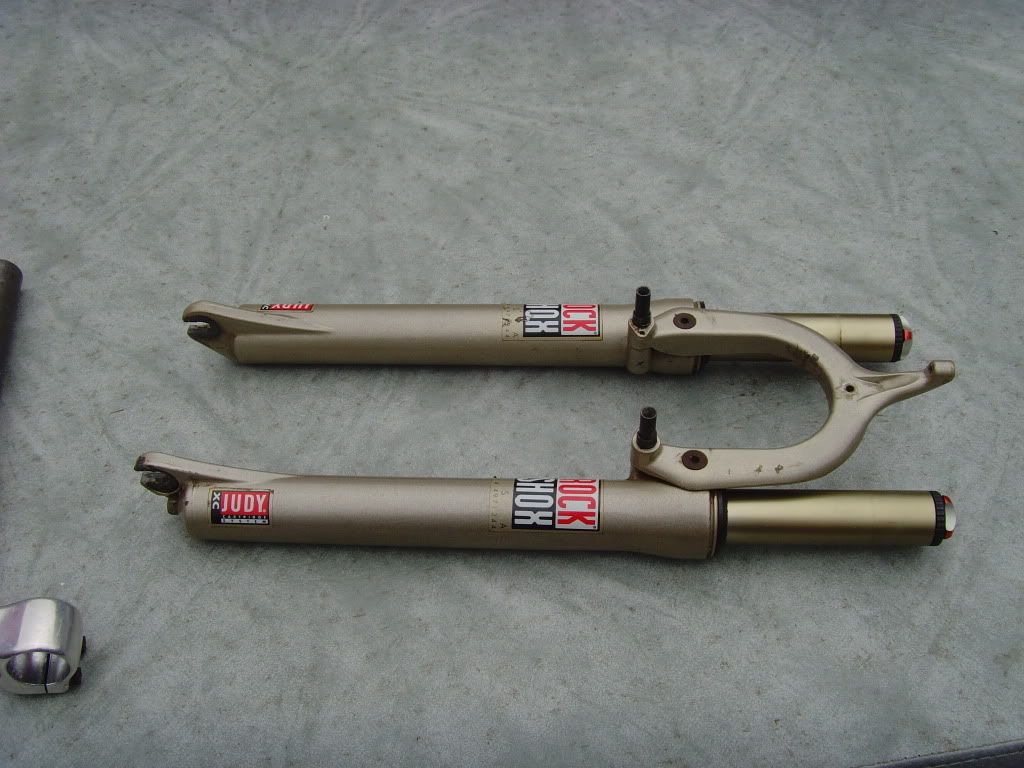 SNV36175.jpg