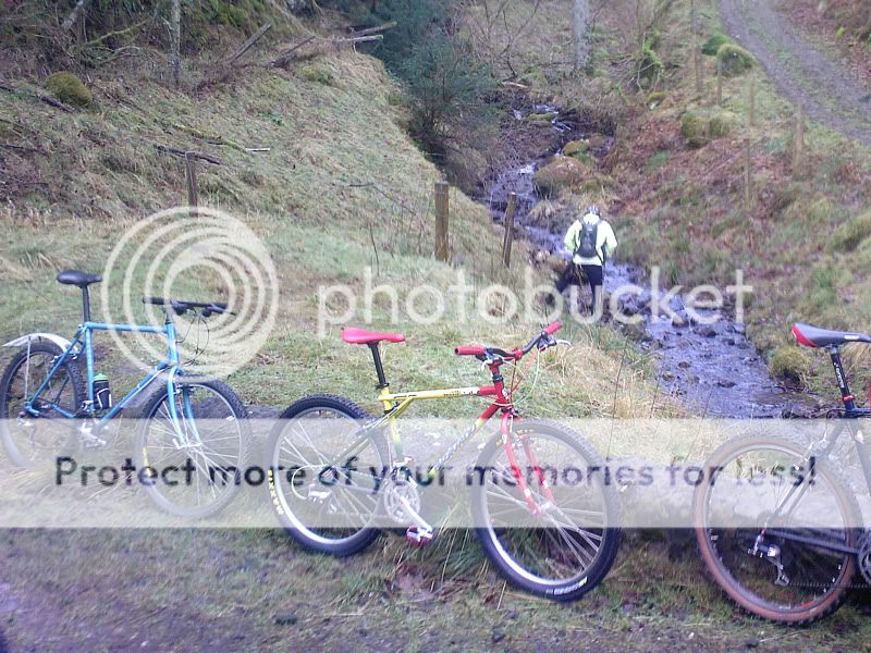 BalticBawbags2012.jpg