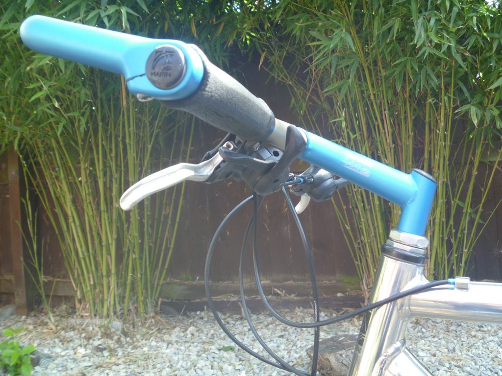P1080534_zpszebiczyo.jpg
