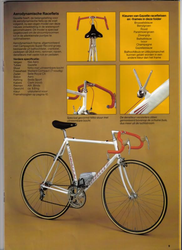 gazelle8.jpg