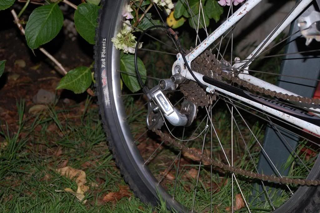 Kona005.jpg
