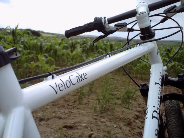 PICT0028.jpg
