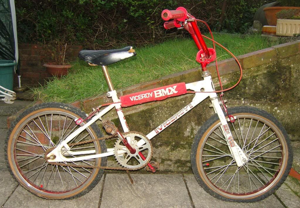 SNC12576.jpg