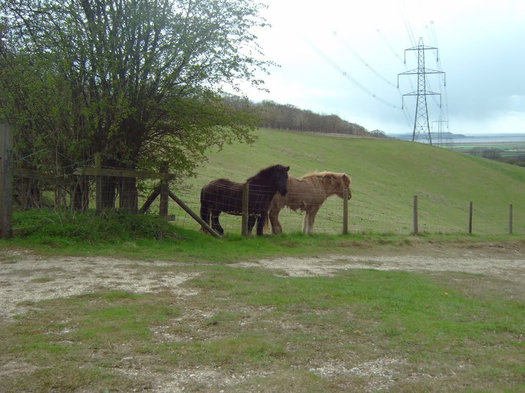 IMG00229.jpg