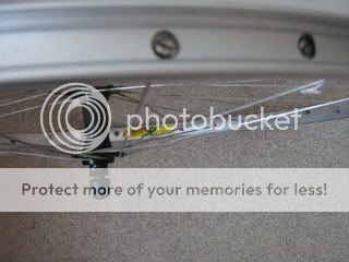 IMG_0682.jpg