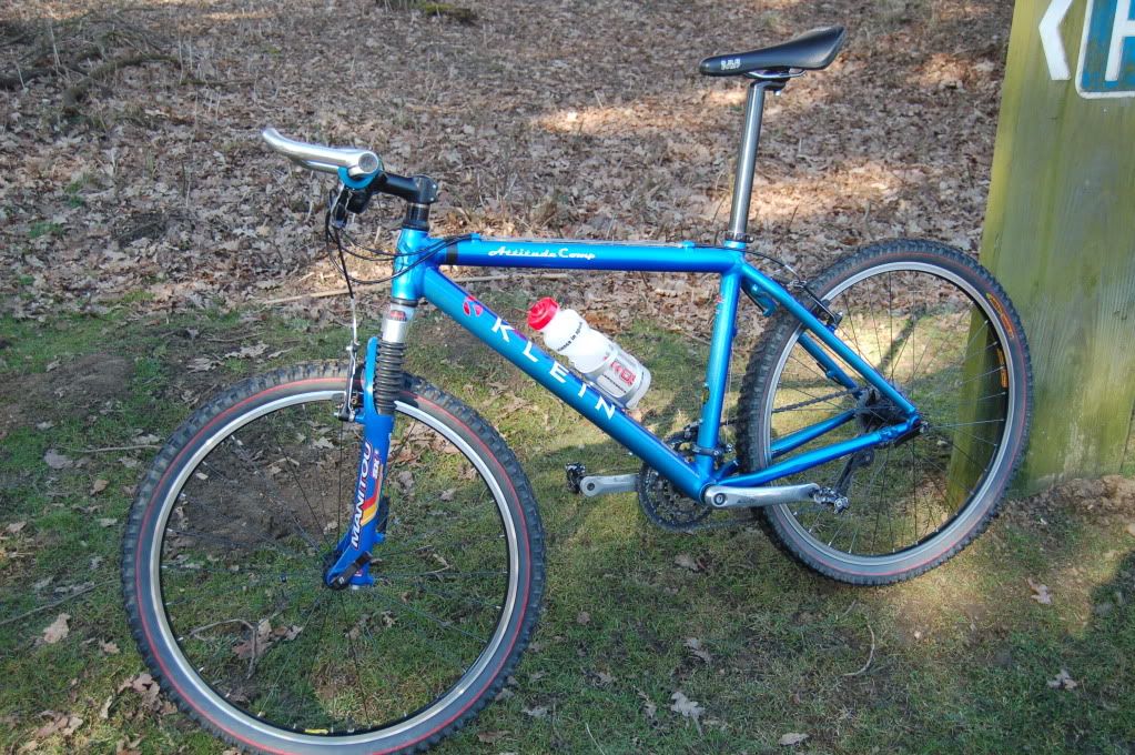 Salcey7_3_10001.jpg