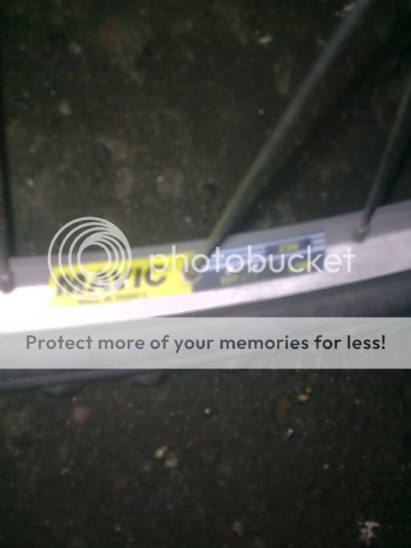 newbike008.jpg