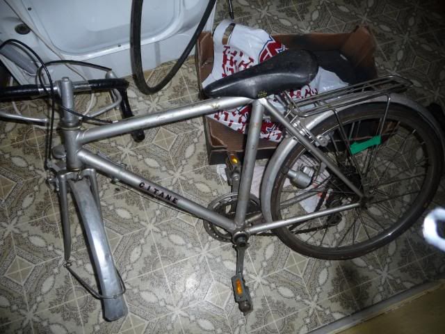 P1010850.jpg