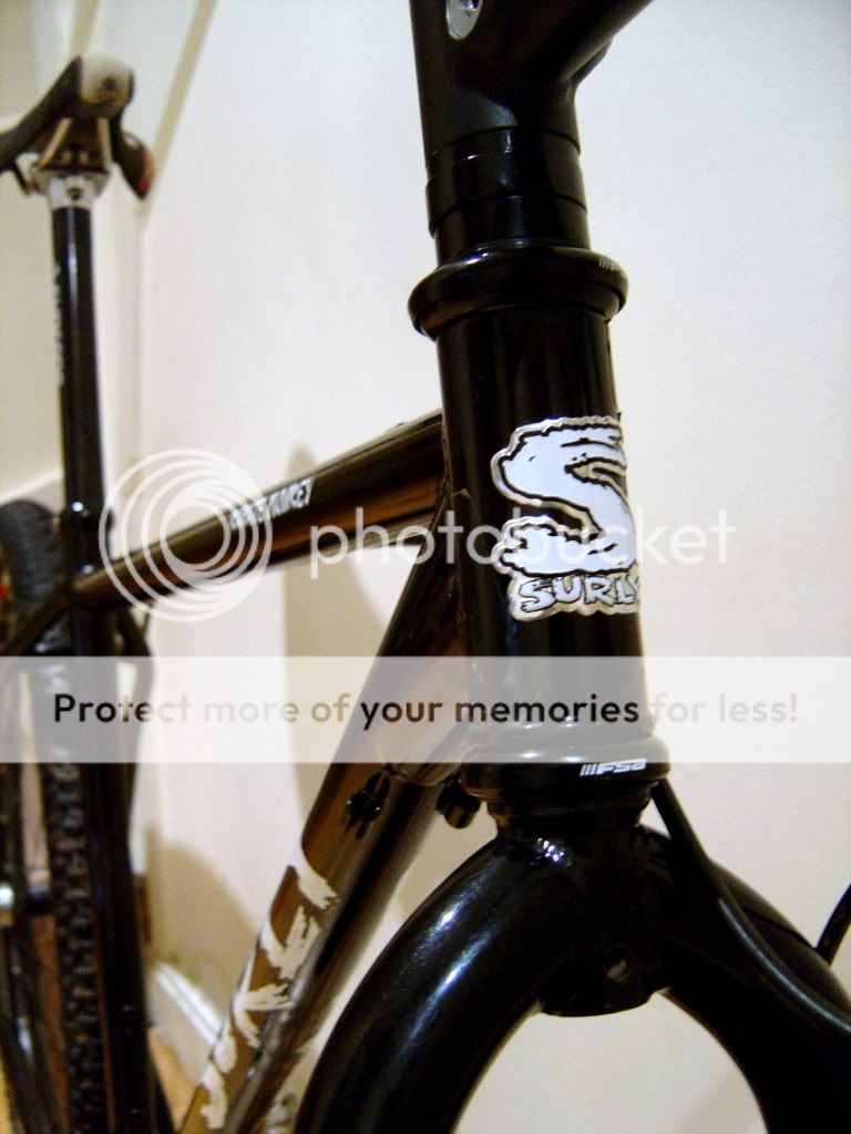 surly2.jpg
