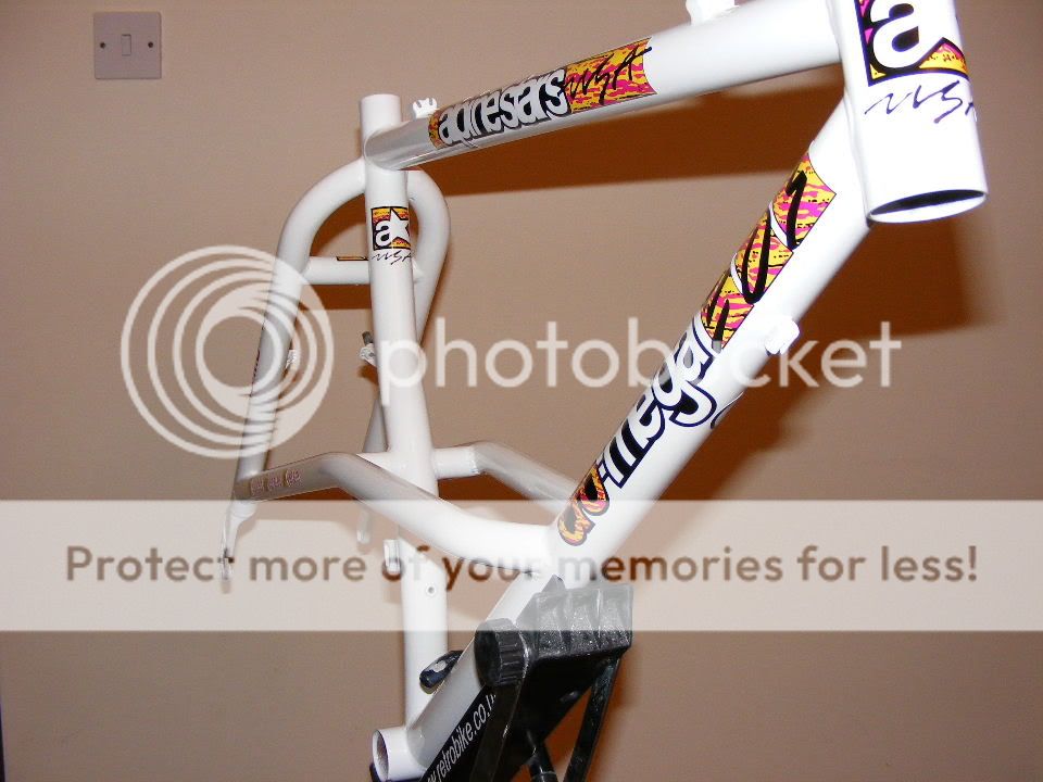2010_0228frame0020.jpg