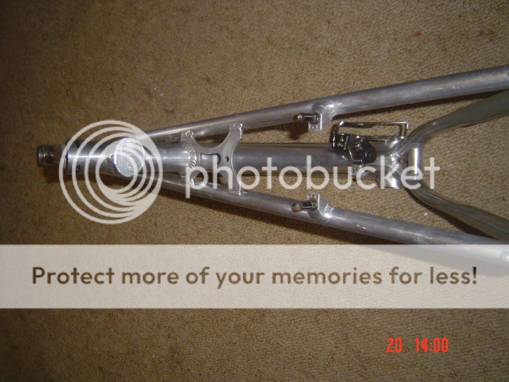 DSC02556.jpg